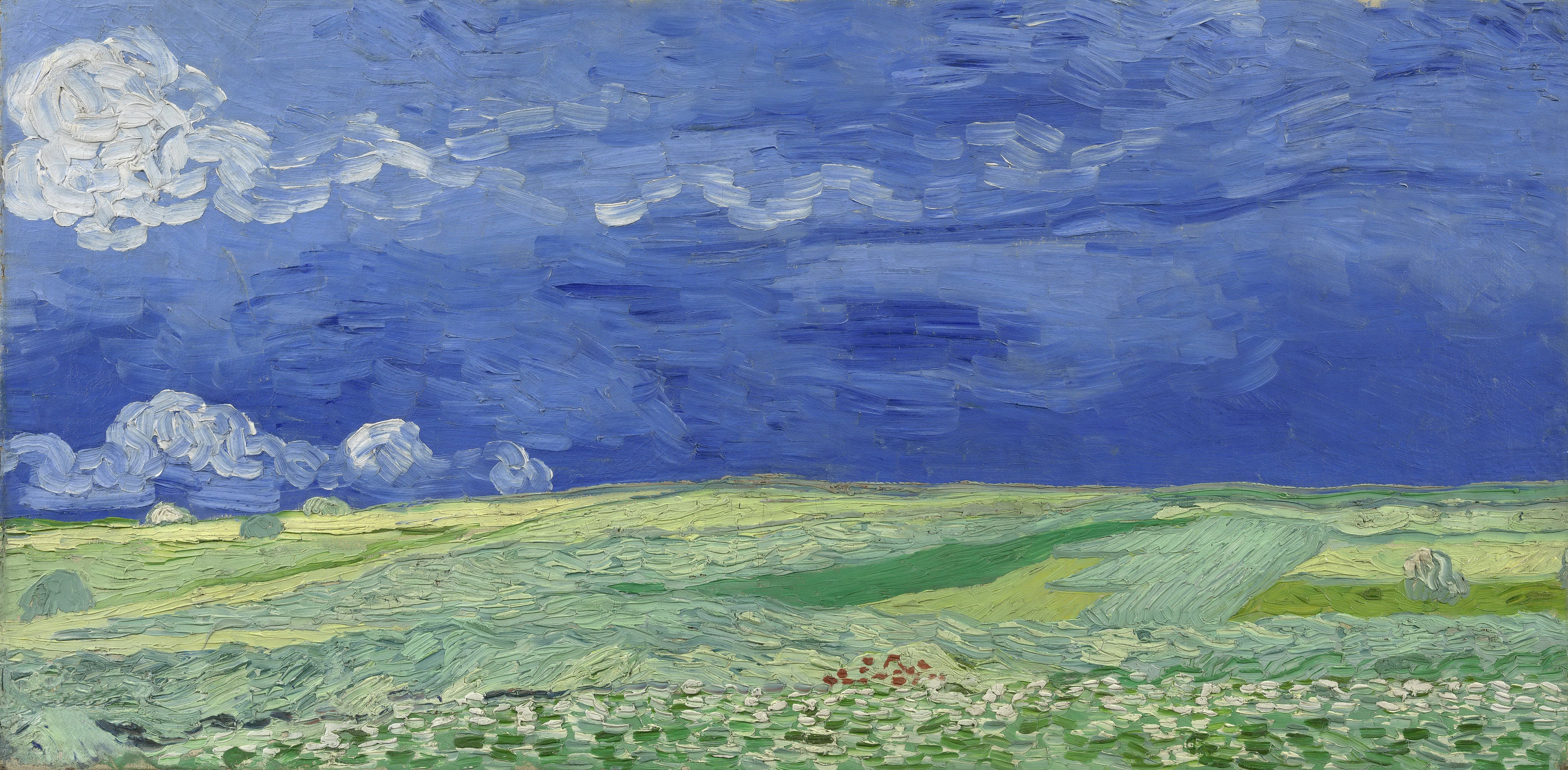 Wheat Field Under Clouded Sky