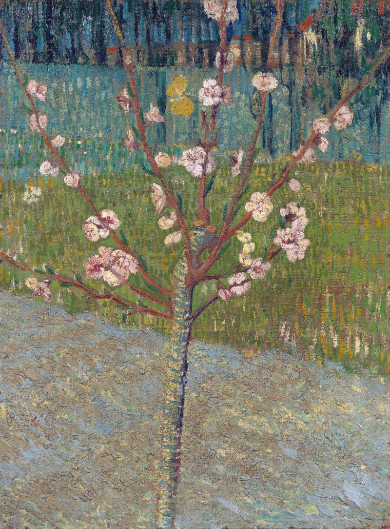 Almond Tree in Blossom, 1888