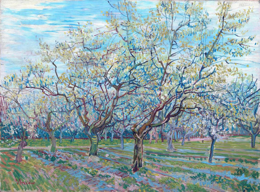 Orchard with Blossoming Plum Trees, 1888