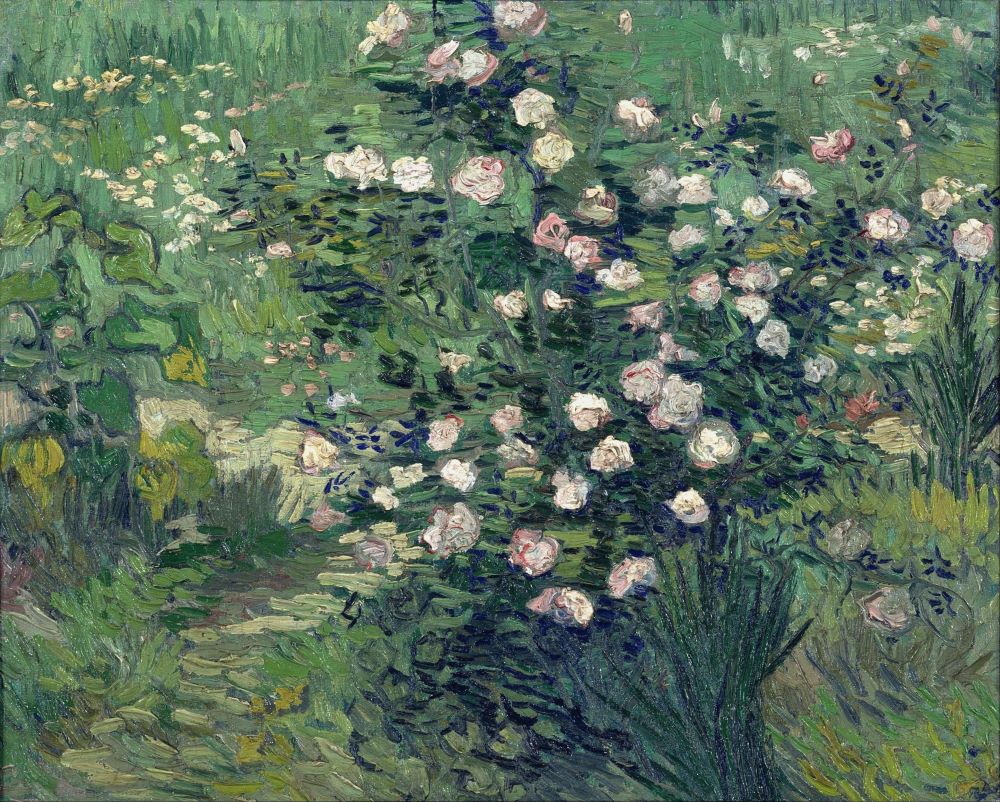 Rosebush in Blossom, 1889