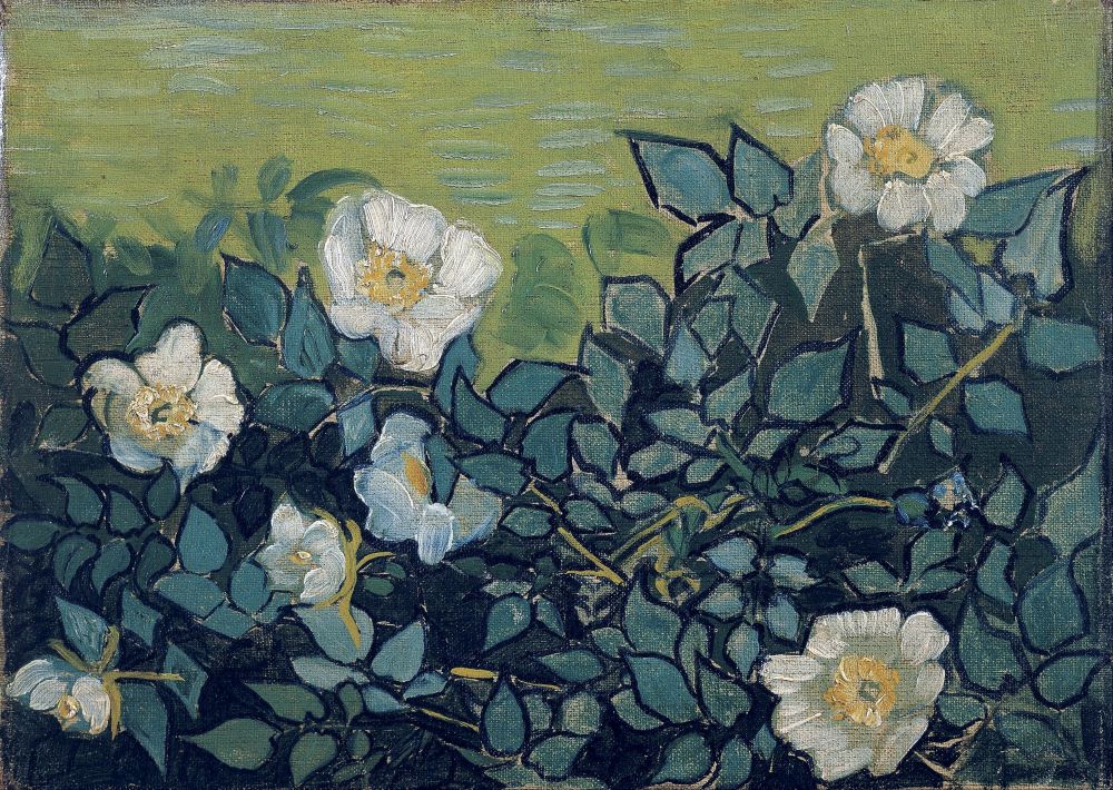 Wild Roses, 1890