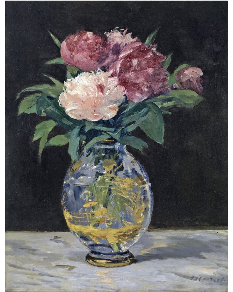Pink Peony