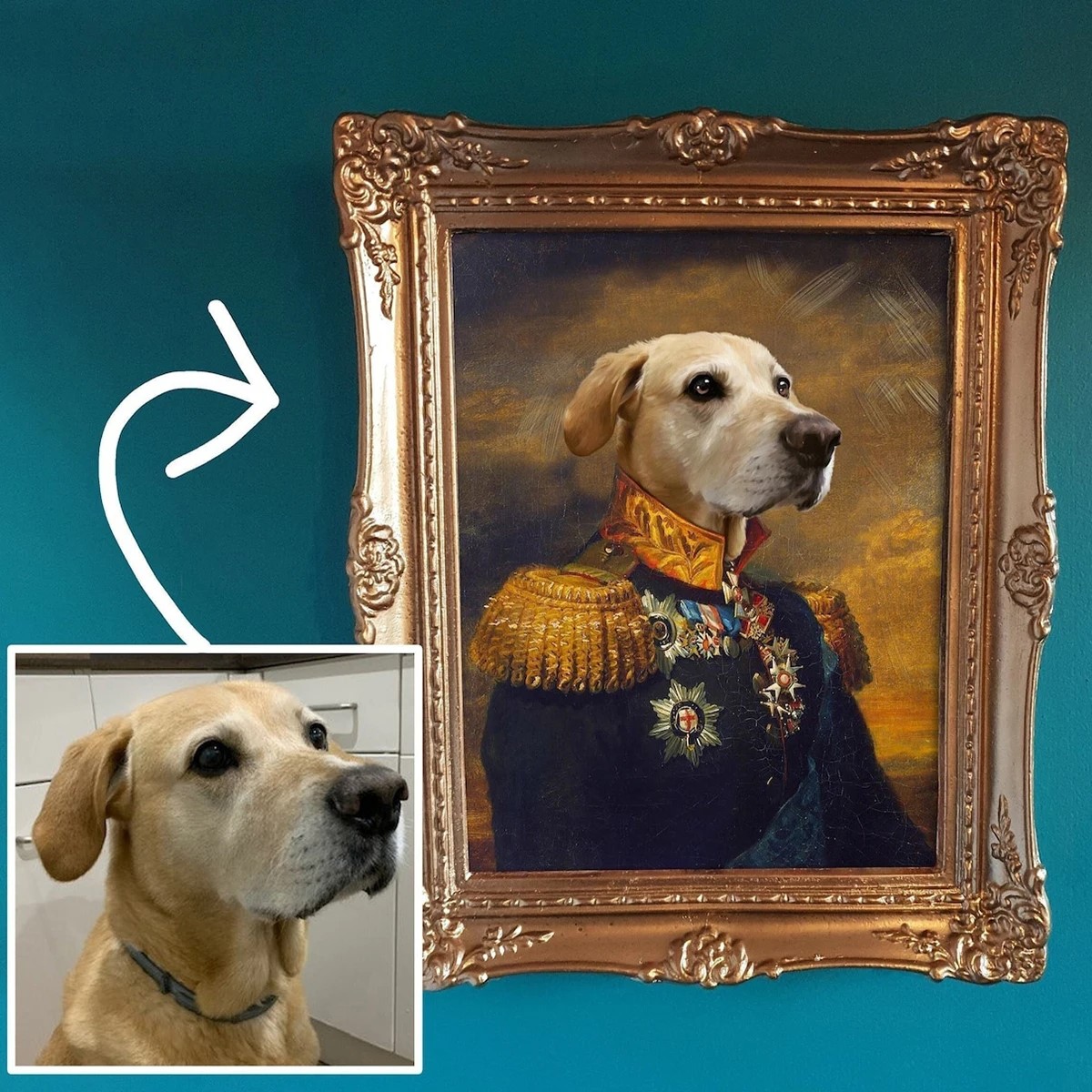 Custom Pets Portraits from Photo