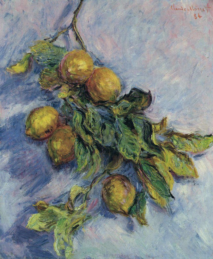 Branch of Lemons, 1884