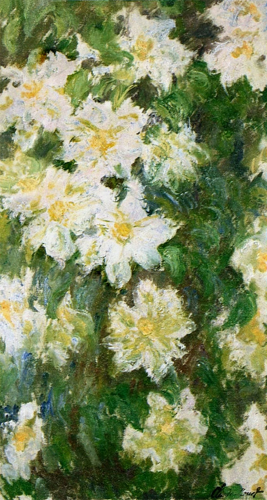 White Clematis, 1887 