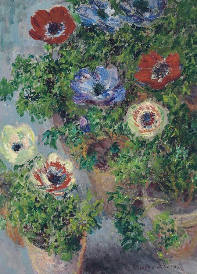 Anemones in Pot, 1885 