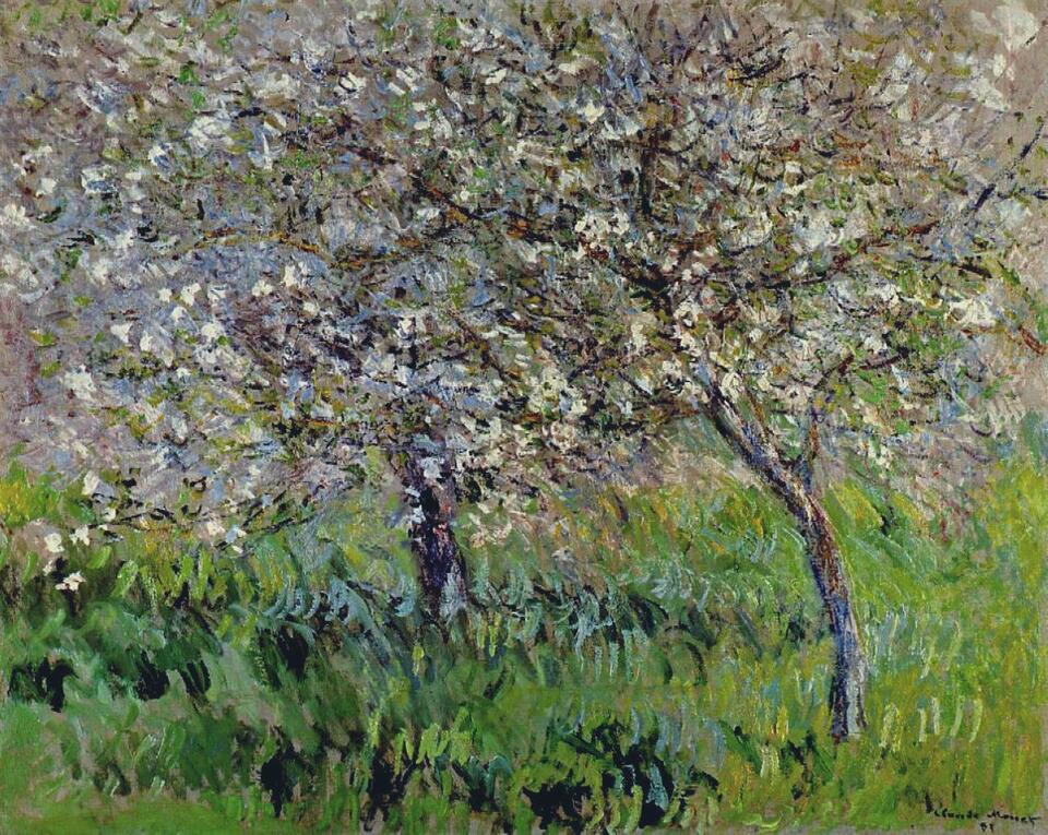 Apple Trees in Bloom at Giverny, 1900