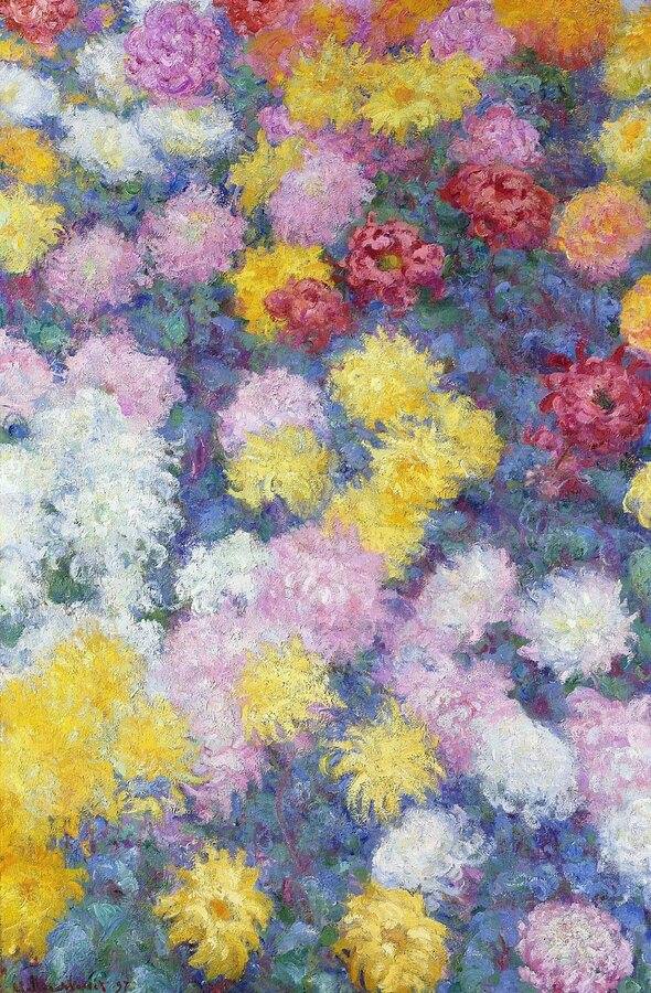 Chrysanthemums, 1897