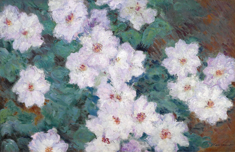 Clematises, 1887 