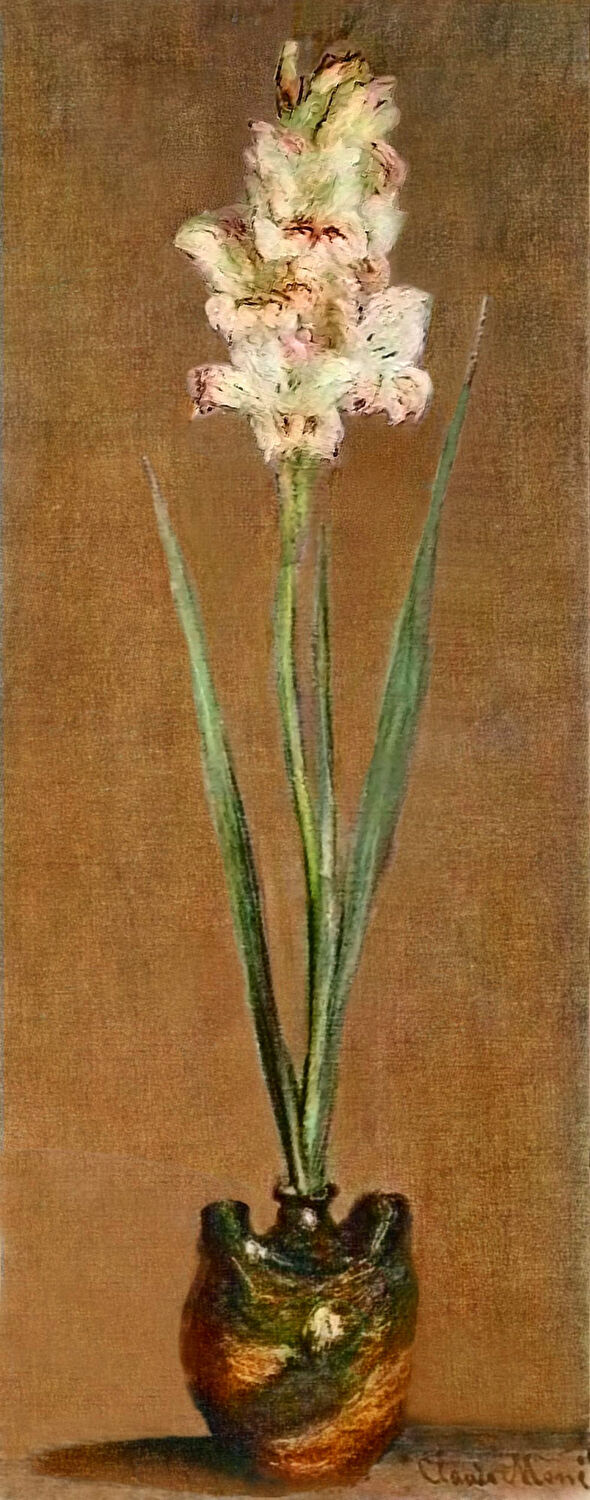 Gladiolus, 1881