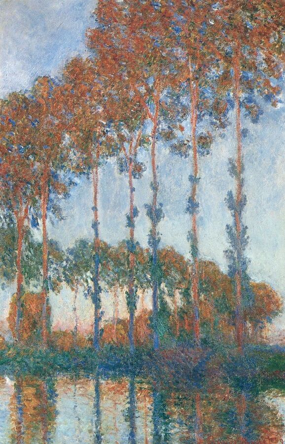 Poplars  Autumn