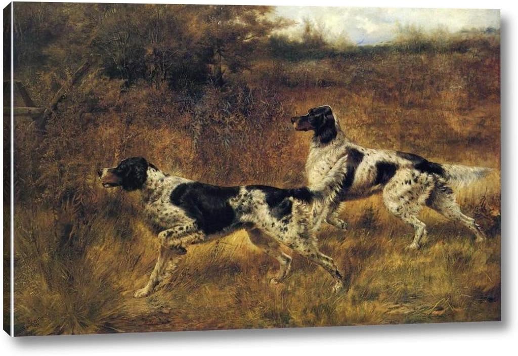 hunting dog