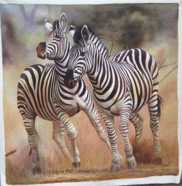 two zebra