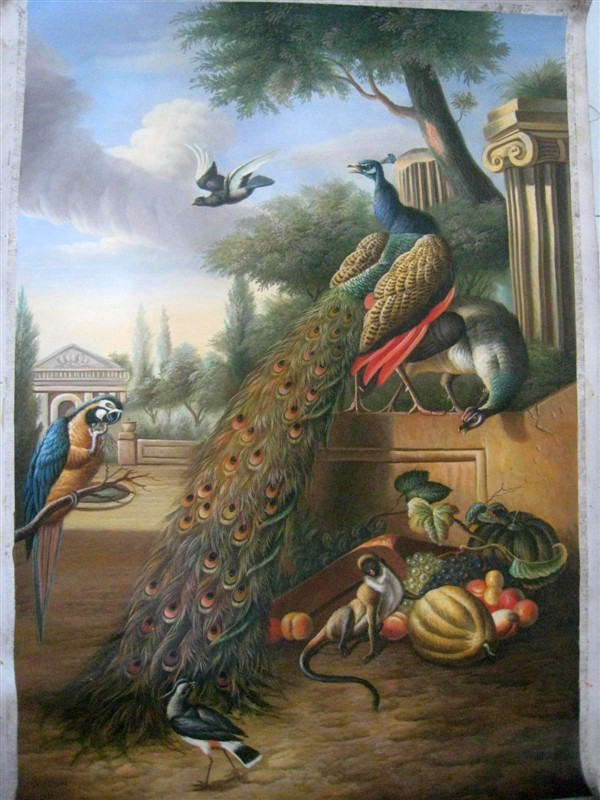  Peacocks and Parrots 