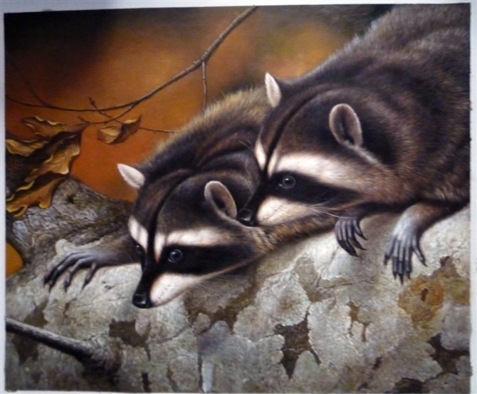 Realistic Raccoon Pair Painting - A Charming Wildlife Art
