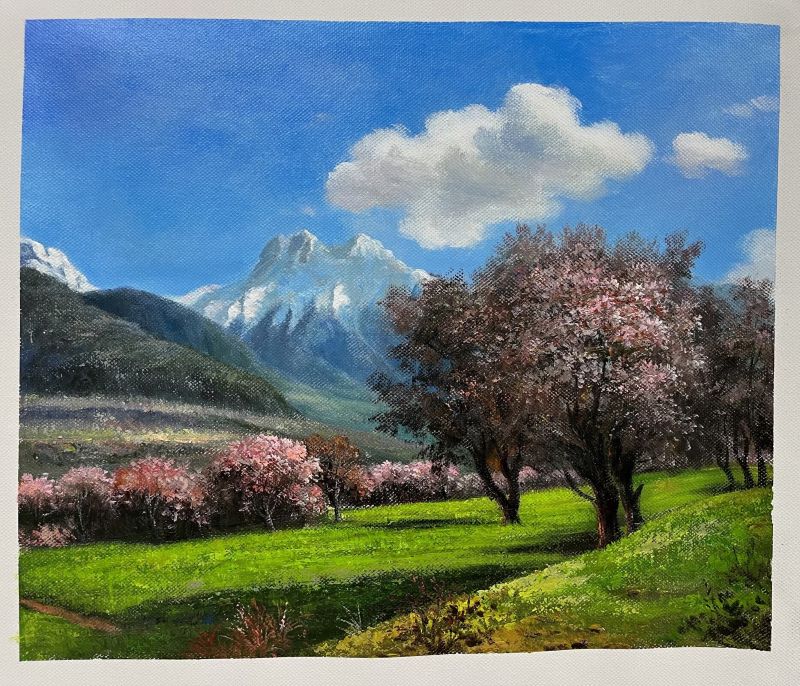 Cherry Blossoms Beneath Snowy Peaks