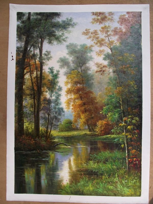 Forest in Fall Colors