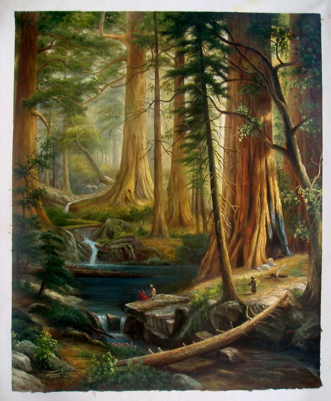 Tranquil Forest Waters