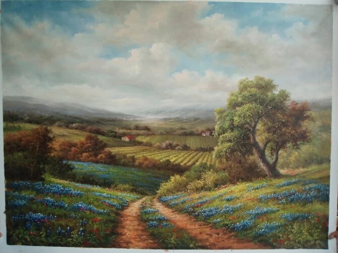 vineyard scenery