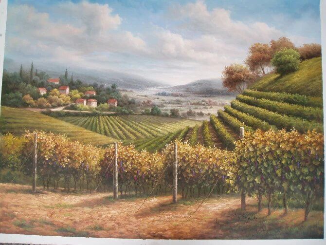 Vineyards of Tuscany