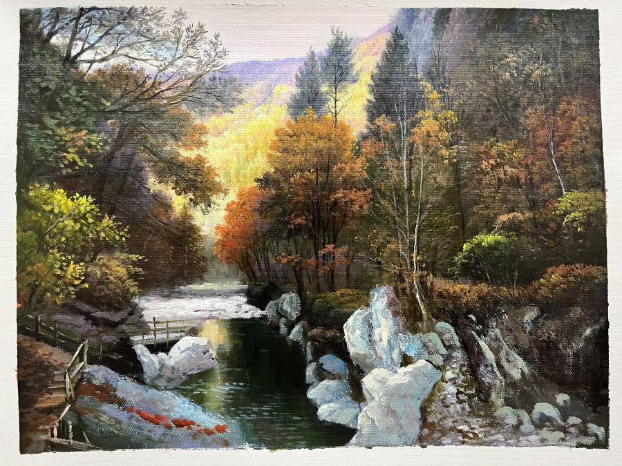 Tranquil Forest Stream