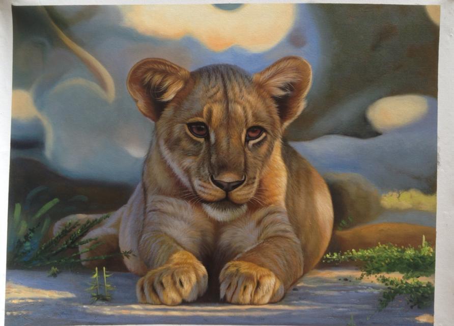 1755855498715125.jpg psc (20).jpg