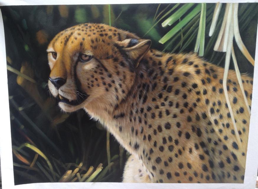 1755919350613143.jpg psc (23).jpg