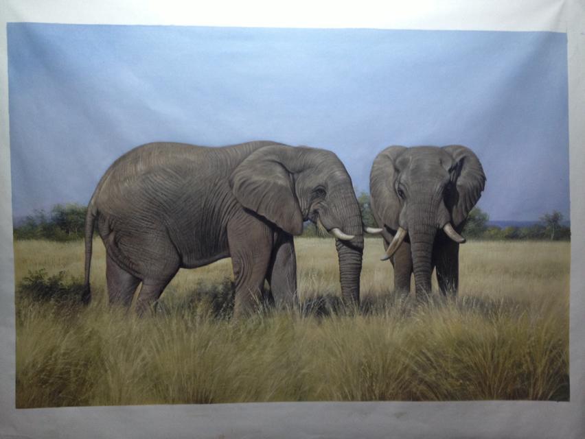 1755919748246174.jpg psc (26).jpg