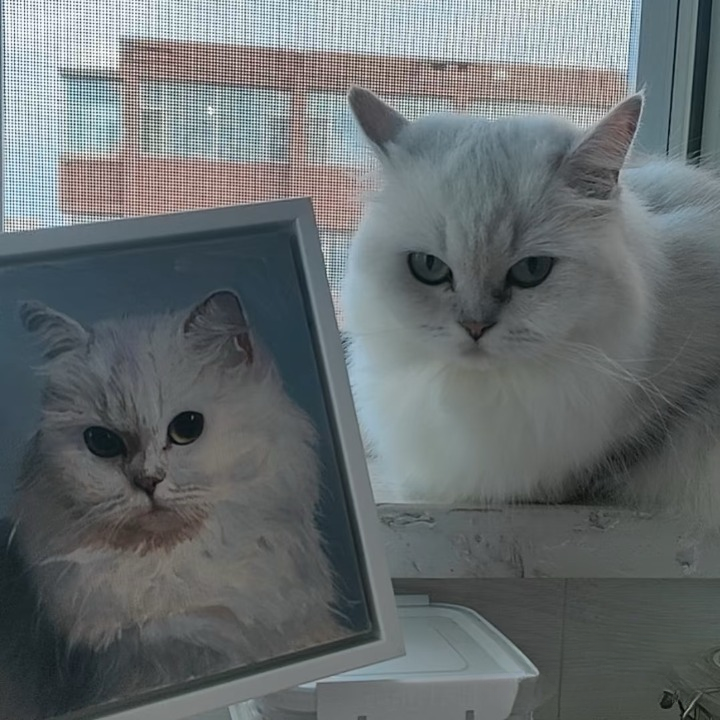 custom pet portrait oil paintings (5).png