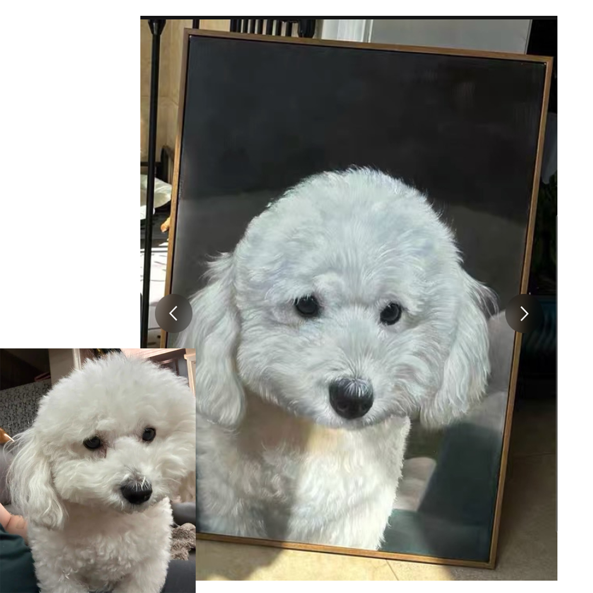 dog portrait.jpg