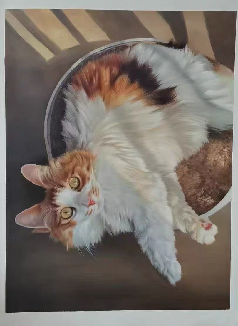 custom pet portrait art paintings.png